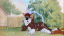 Tom and Jerry | 009 | Sufferin Cats