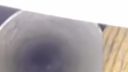 Kámo, je tam vták!