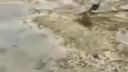 Záhada strateného oceánu po hurikáne Irma v Long Island Baha