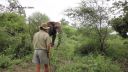 video 30 rokov skúseností so slonmi (nebezpečná situácia)