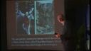 Víno Babylona - Prof. Dr. Walter Veith