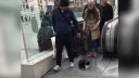 Capo di Tutti Capi (Istanbul)