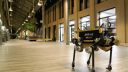 Korčuľujúci robot ANYmal (Švajčiarsko)