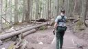 video Keď stretneš grizzly medvedicu s malými (USA)