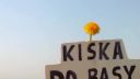 Disko with Kisko