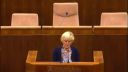 Marika Ritomská - 54.sch.NRSR o riešení proti terorizmu