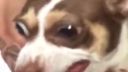 Mr.Bubz