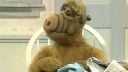 Alf - Helooou