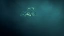Aliensss