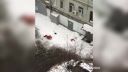 Oprášili ho a odpratával sneh ďalej