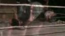 Domaci Wrestling IYHWA