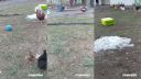 Futbal na dedinskom dvore