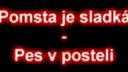 Pomsta je sladká - pes v posteli