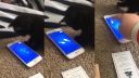 Aj mačky sú už závislé na mobilnom telefóne