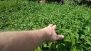 Sila fluida - no prosto sa ma neboja...