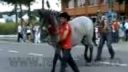 video Kôň, ktorý si nedá brnkať po zadku