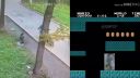 Super Mario in real life