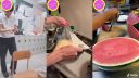 Funny Japan Video - zábava