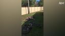 Najzábavnejšie zlyhania 2019