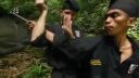 Silat