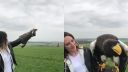 Miluje veľké vtáky!