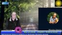 M.Zelenka 299 Současná situace a meditace
