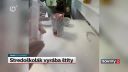 Tlačte držiaky na ochranné štíty | 27.3.2020
