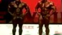 MR.OLYMPIA 2008