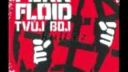 Punk floid