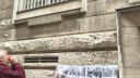 Politika s Julom za odvolanie Čižnára 5.6.2020