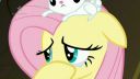My little pony,přátelství je magické 2x22