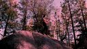 Gryffin, John Martin - Cry