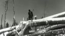Veterná kalamita 1955. Čas jsou peníze