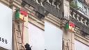 Mačku zachránili pomocou škatule