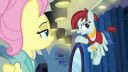 My little pony,přátelství je magické 8x4