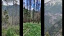Jalovecká dolina. TANAP hanba Slovenska = práca ochranárov