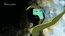 Ben 10 S03E12,cz