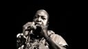 Nathaniel Peterson - Twin Dragons, Savoy Brown, Mama Roo.