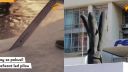 Uviaznuté veľryby na chvíľu spojili svet