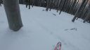Vtacnik,freeride