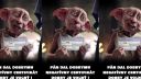 Dobby