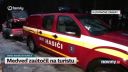 Na strednom Slovensku zaútočil na turistu medveď