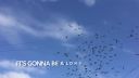 Showtek - Someone Like Me (feat. Lxandra)