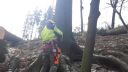 Hydraulický jack hever zdvihák v lesníctve. Nasmerovanie stromu