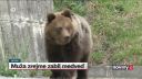 Nezvestného muža z Liptova zabil medveď