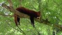 ZOO Bojnice 15.06.2021
