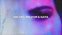 NALYRO, Meldom & Kaita - Memory