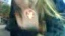 Cica a pentagram