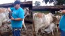 Brazílsky farmár vysvetľuje, prečo žije zdravšie, ako väčšina