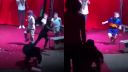 A zober potom deti do cirkusu